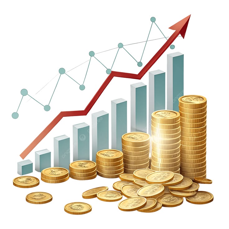 About True Value Fin Finance